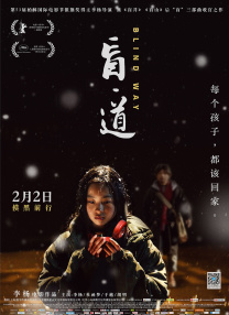 亚洲国产精品久久精品成人